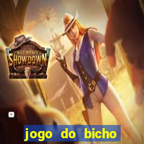 jogo do bicho crash bingo